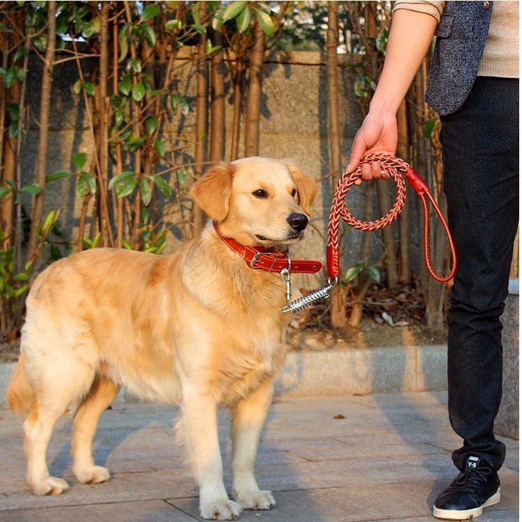 
	4 Colors Deluxe Leather Dog Lead Leash Pet Training Leather Leash for Medium Large Dog