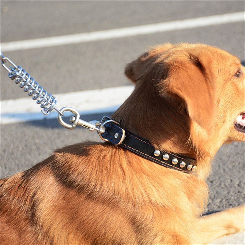 
	4 Colors Deluxe Leather Dog Lead Leash Pet Training Leather Leash for Medium Large Dog