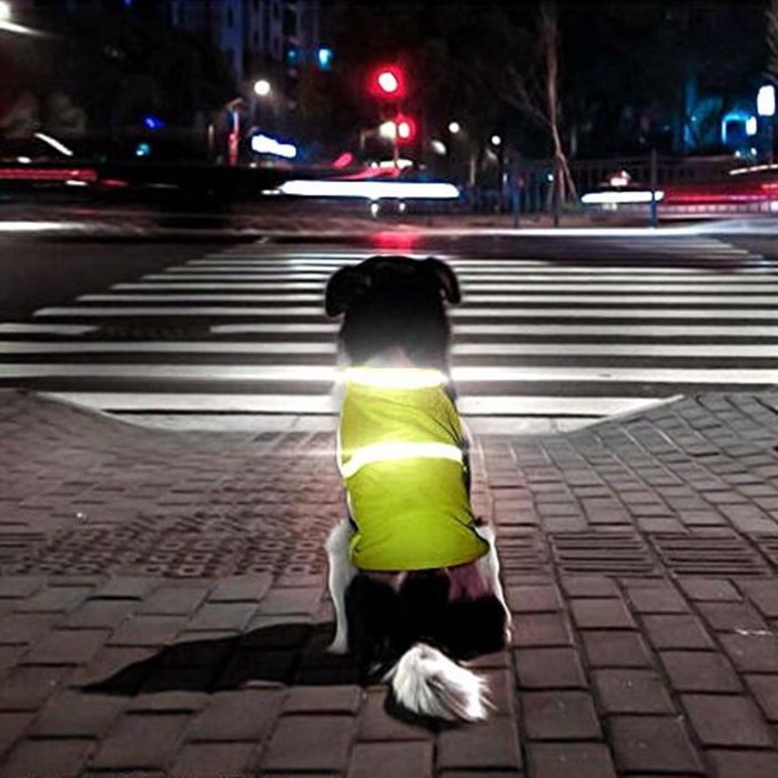 
	2 Colors Pet Dog Reflective Night Clothing Puppy Night Safety Vest