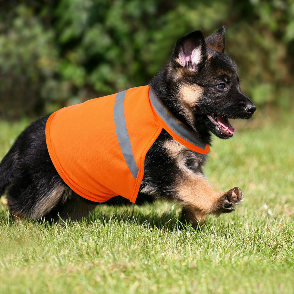
	2 Colors Pet Dog Reflective Night Clothing Puppy Night Safety Vest