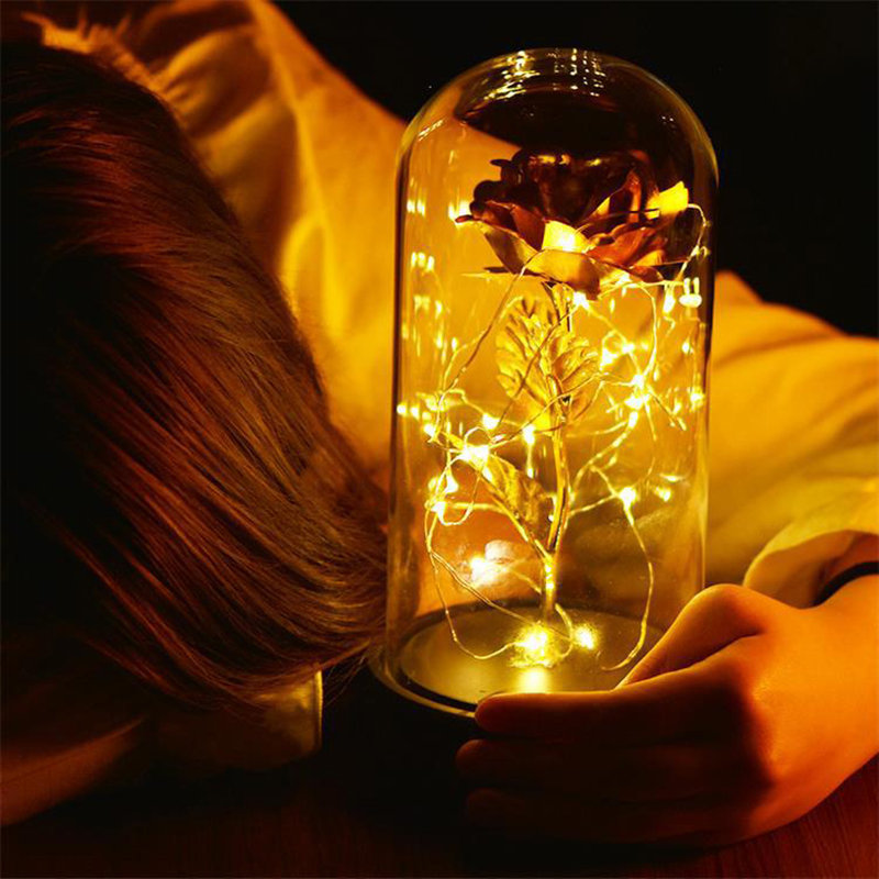 
	Gold Foil Decoration Flowers Red Golden Eternal Rose with LED Light in Glass Dome Gifts