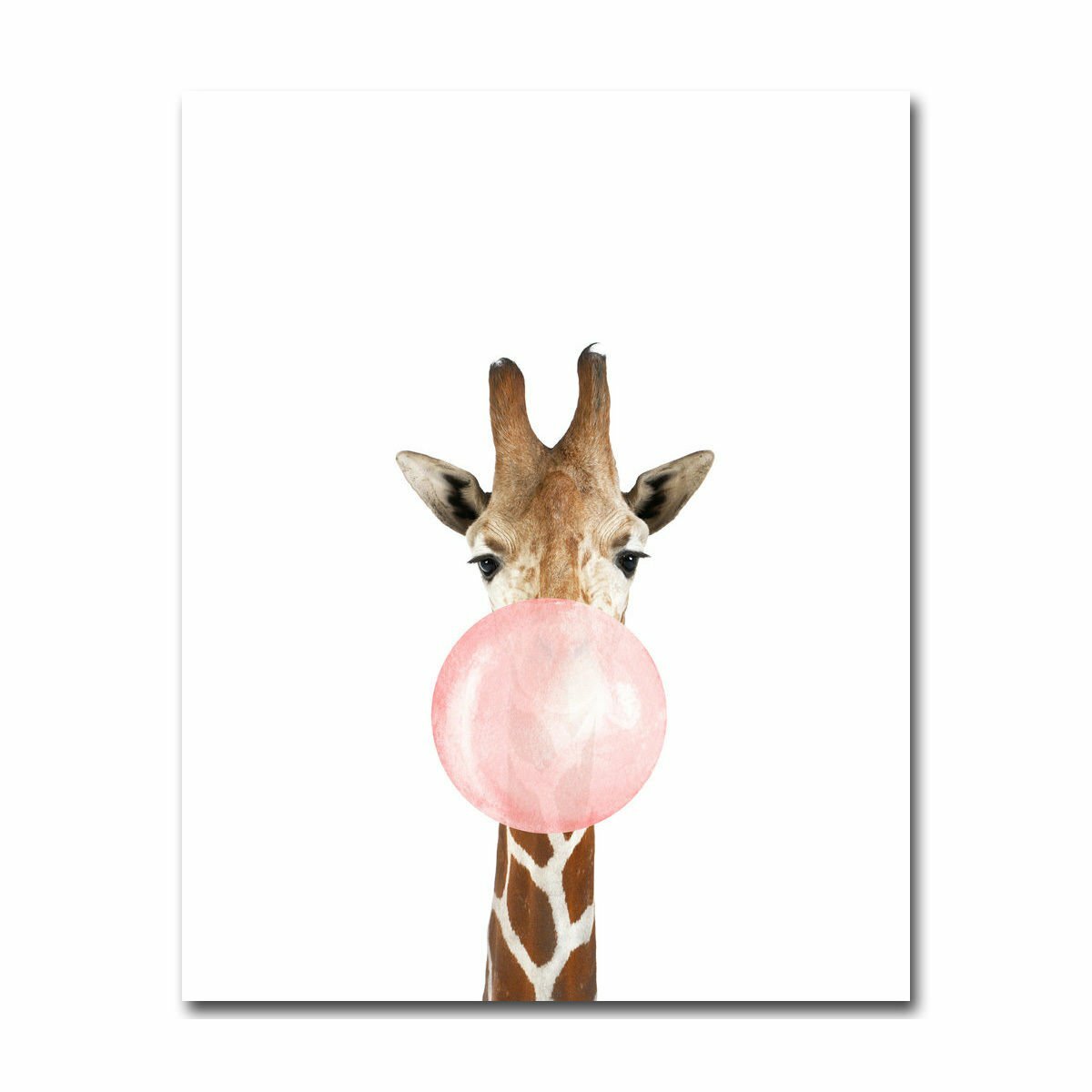 
	Aussie Style Funny Koala Bear Zebra Canvas Poster Nursery Wall Art Print Baby Room Decoration