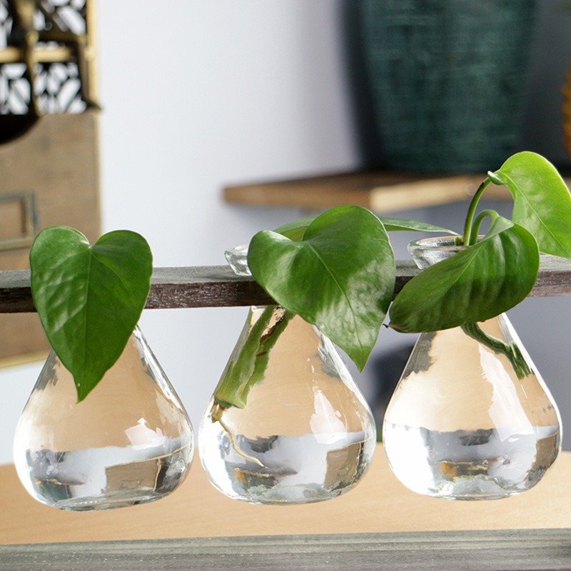 
	Creative Simple Style Glass Wood Plant Vase Home Decorative Planter